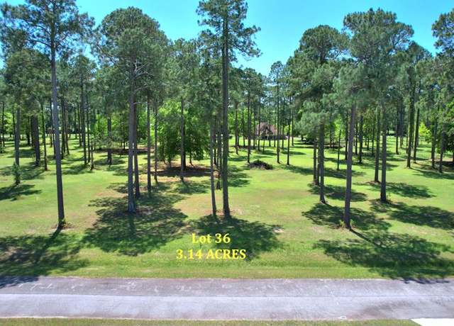 Property at Lot # 36 Cannon Br, Cordele, GA 31015