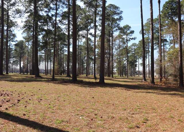 Property at Lot #35 Cannon Br, Cordele, GA 31015