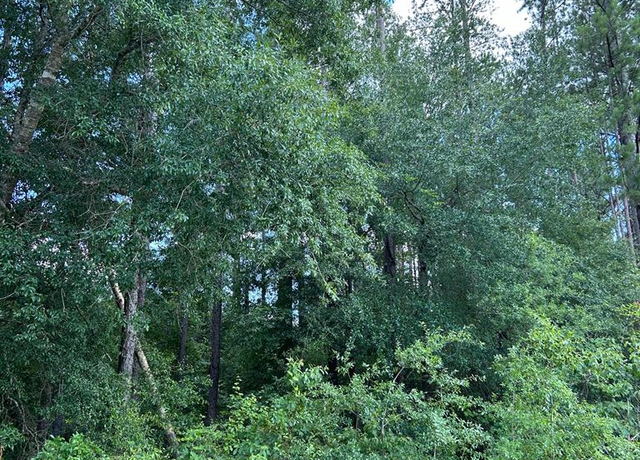 Property at Lot 38 Crestview Dr, Abbeville, GA 31001