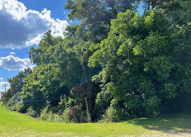 Property at 1.12 Ac Main St, Abbeville, GA 31001