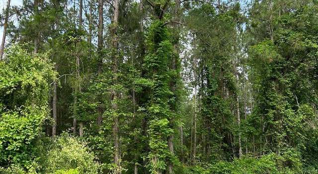 Photo of MP 08 25 Us Hwy 280, Pitts, GA 31072