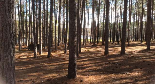 Photo of 421 Southern Lakes Dr, Arabi, GA 31712