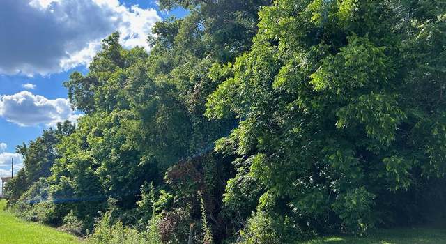Photo of .43 Ac W Main St, Abbeville, GA 31001