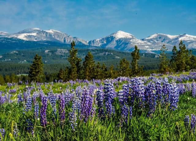 Property at TBD W US Hwy 16, Buffalo, WY 82834
