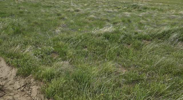 Photo of TBD Main, Arvada, WY 82831