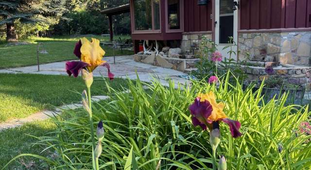 Photo of 211 N Piney Rd, Story, WY 82842