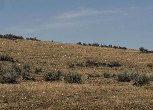 Property at TBD Hwy 14 E, Shell, WY 82441