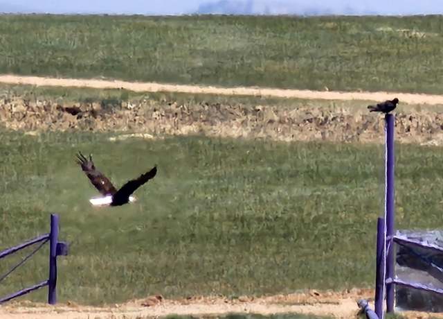 Property at 103 Hawkeye Trl, Rock River, WY 82083