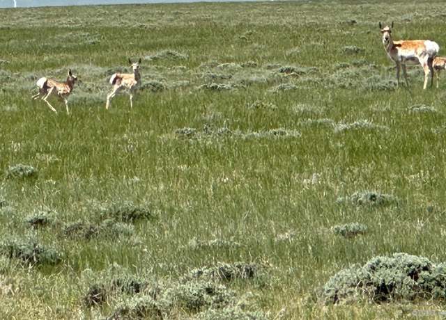Property at Lot 86 Cassidy River Rnch, Medicine Bow, WY 82329