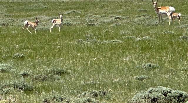 Photo of Lot 86 Cassidy River Rnch, Medicine Bow, WY 82329