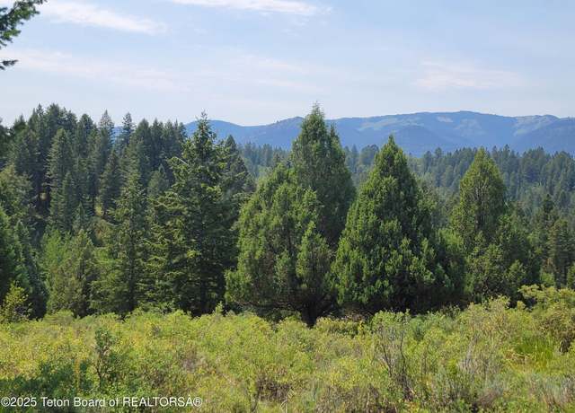 Property at L61 B4 Cutthroat, Irwin, ID 83424