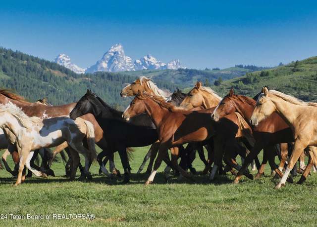 Property at 15400 Gros Ventre Rd, Kelly, WY 83011, 16 beds, 14 baths
