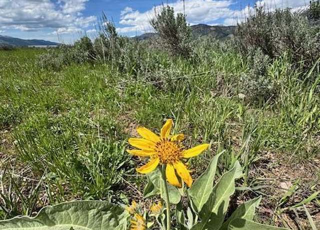 Property at LOT 73 Snake River Dr, Alpine, WY 83128