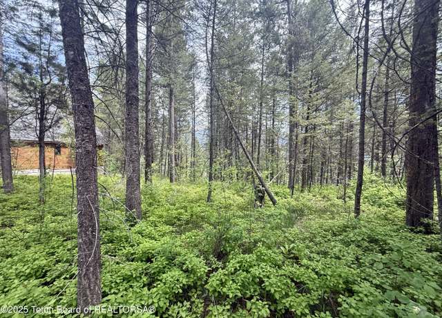 Property at LOT 226 Pinecrest, Alpine, WY 83128