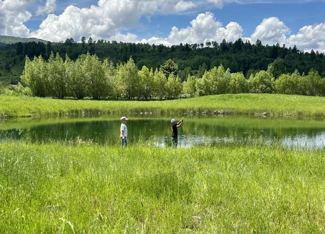 Property at 43 River Trail, Salt Riv, Alpine, WY 83128