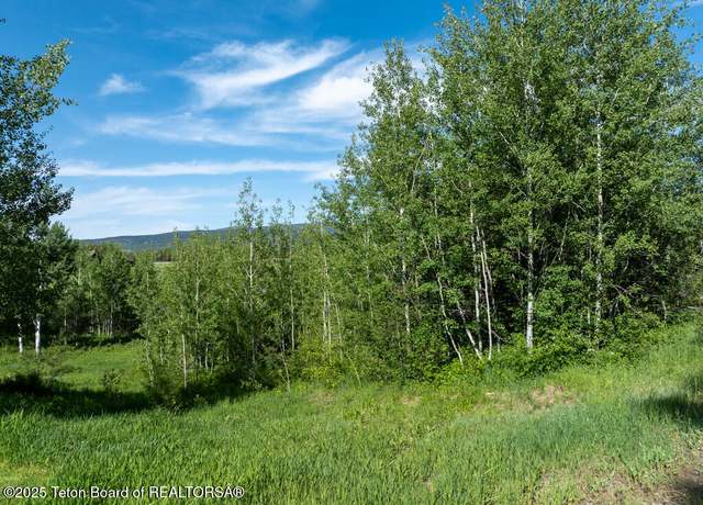 Property at 38 Blackfoot Trl, Victor, ID 83455