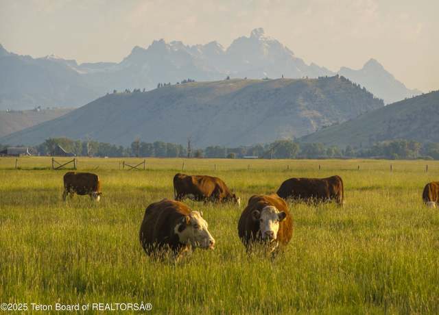Property at 120 Acres South Park Rd, Jackson, WY 83001