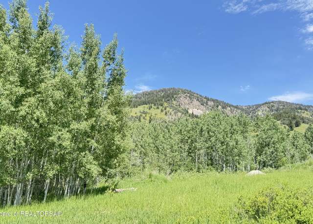 Property at Lot 20 Dogwood, Star Valley Ranch, WY 83127