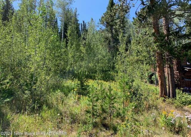 Property at 20 Blackfoot Trl, Victor, ID 83455