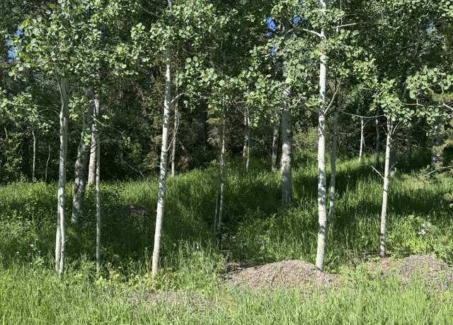 Property at L22 Caribou Frst, Alpine, WY 83128