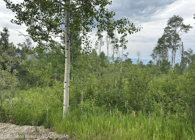 Property at LOT 61 Pine, Star Valley Ranch, WY 83127