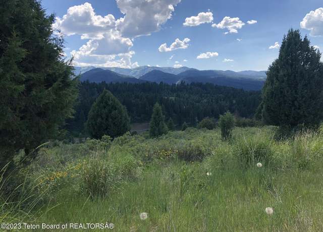Property at L63 BLK4 Cutthroat Run, Irwin, ID 83428