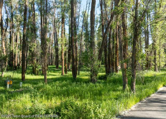 Property at 4725 River Hollow Dr, Wilson, WY 83014