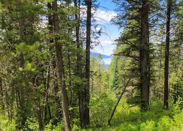 Property at Lot 22 Trail Ridge Rd, Alpine, WY 83128