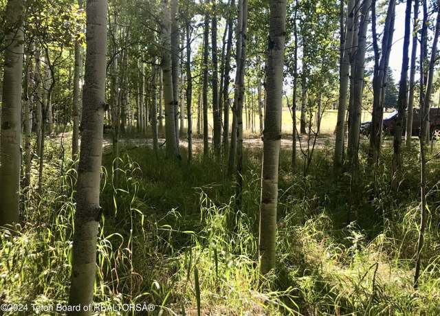 Property at LOT 16 Walnut Dr, Star Valley Ranch, WY 83127