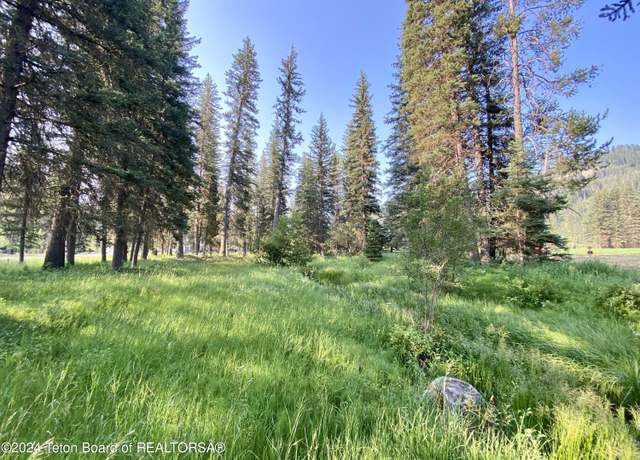 Property at 15465 Wagon Rd, Jackson, WY 83001