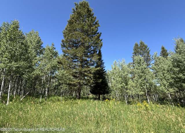 Property at 52 W Forest Dr, Star Valley Ranch, WY 83127