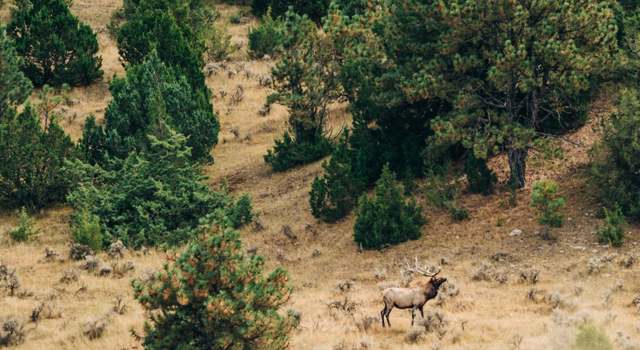 Photo of Black Thunder Ranch Clareton Hwy, Gillete, WY 82718