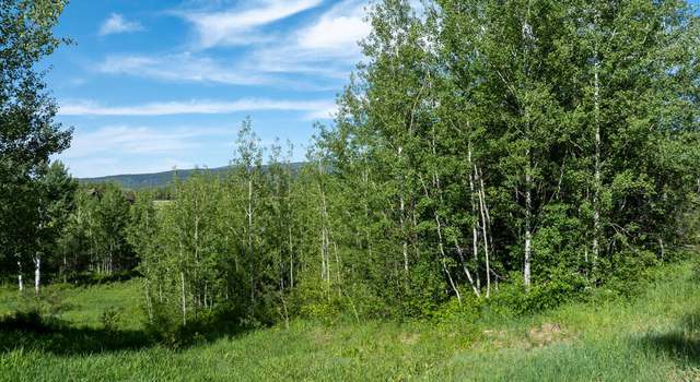 Photo of 38 Blackfoot Trl, Victor, ID 83455