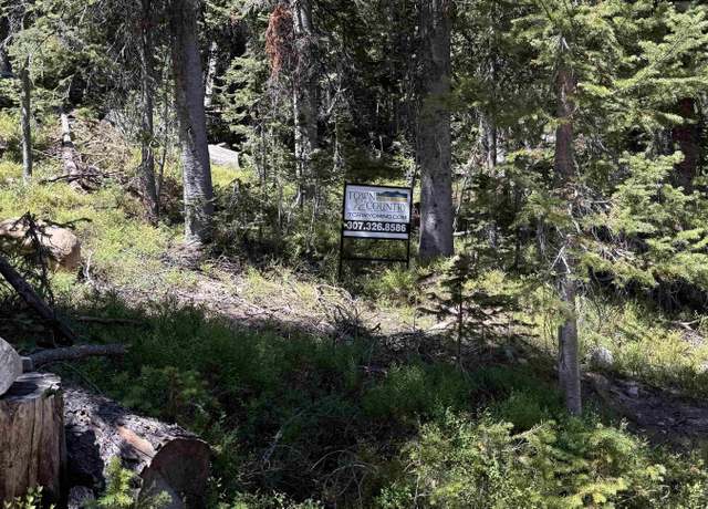 Property at Tract 49 Overlook Retreat, Elk Mountain, WY 82324