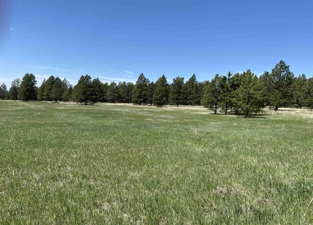 Property at 46B Two Pipe Trl, Sundance, WY 82729