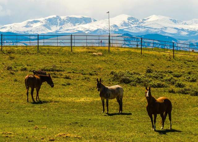 Property at 135 High Plains Rd, Buffalo, WY 82834, 5 beds, 3 baths