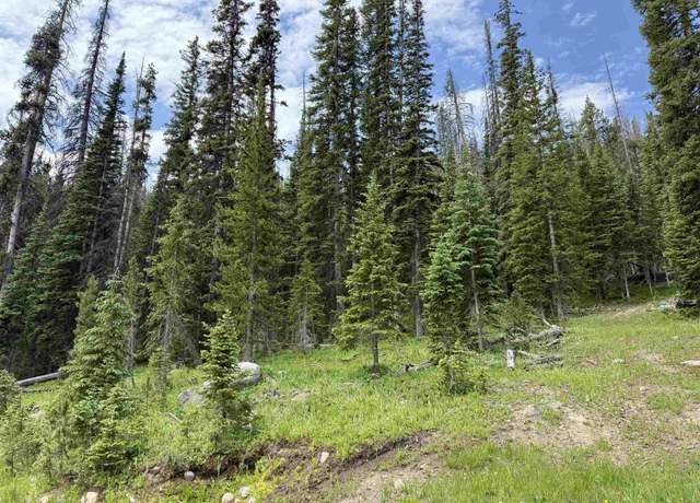 Property at 48 Overlook Retreat, Elk Mountain, WY 82324