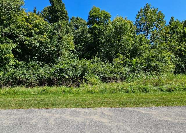 Property at 0 Indian Ridge Dr, Aurora, IN 47001