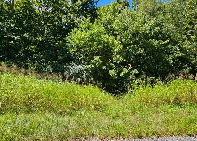 Property at 0 Falling Rock Dr, Aurora, IN 47001