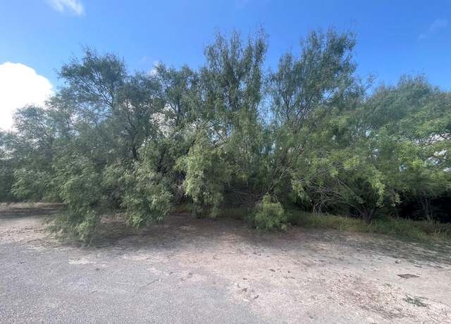 Property at 270 Buena Vis, Crystal City, TX 78839
