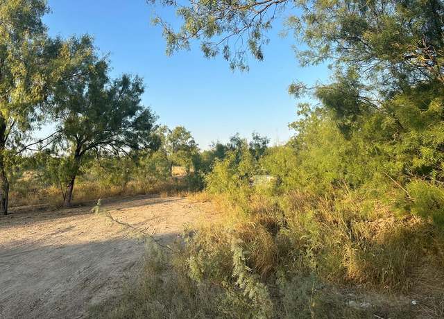 Property at 261 Dub Dr, Eagle Pass, TX 78852