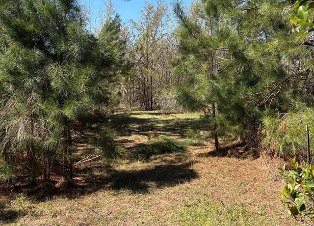 Property at 455 Patricia Ln, Ray City, GA 31645