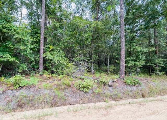 Property at Tract 4 Harold Tyson Rd, Tifton, GA 31794