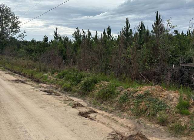 Property at 111 Otis Shaw Rd, Ray City, GA 31645