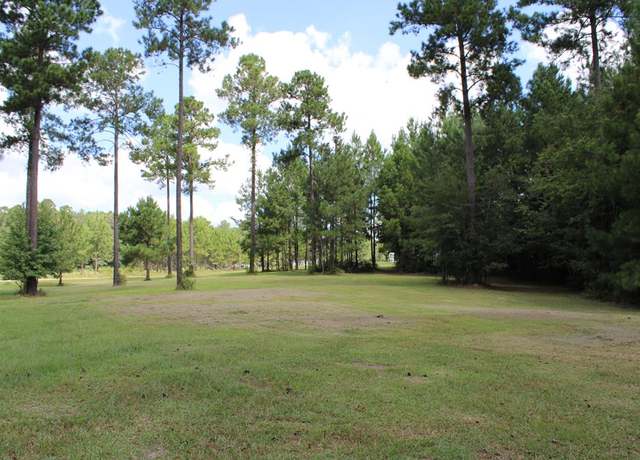 Property at 0 Sturgeon Creek Rd Lt 3, Fitzgerald, GA 31750