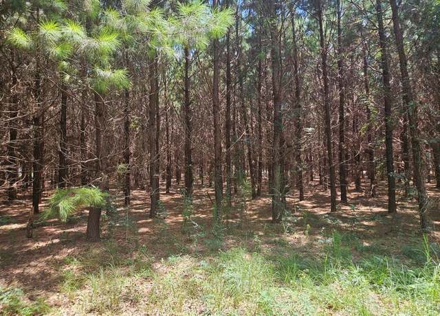 Property at 246 Rhine Rd, Fitzgerald, GA 31750