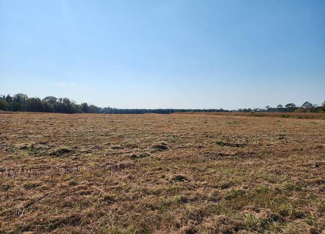 Property at 0 Frank Rd ( Swan Rd ) Lot 8, Fitzgerald, GA 31750