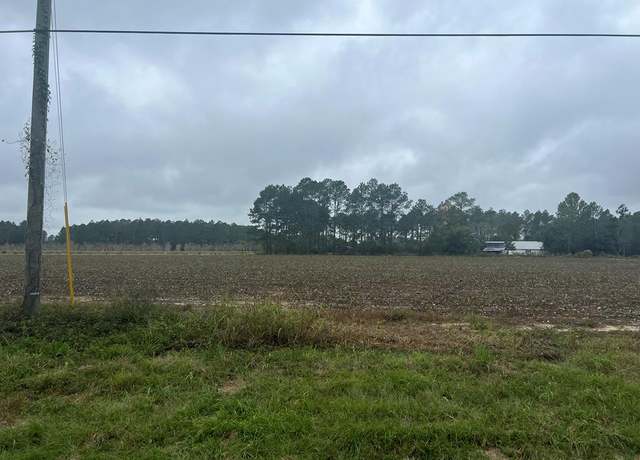 Property at 0 Adams Rd, Chula, GA 31733