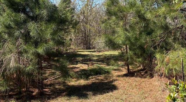 Photo of 455 Patricia Ln, Ray City, GA 31645