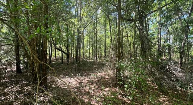 Photo of 579/447 Amboy Rebecca Rd, Rebecca, GA 31783
